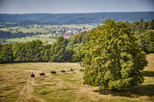 Romania-Transylvania-Across Szekler & Saxon Land in Transylvania